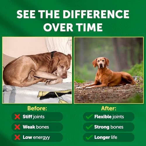 Nature's Protection Bones & Immune Supplement Powder for Senior Dogs, 9oz