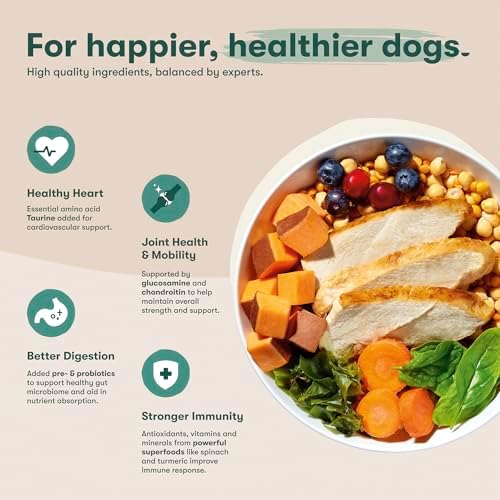 Jinx Senior Dry Dog Food - Real Chicken, Brown Rice & Sweet Potato, 4lb