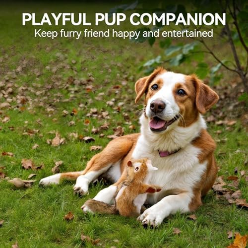 ALL FOR PAWS Chipmunk Squeaky Doy Toy, Squirrel Dog Toy for Small Medium Breed, Puppy Fetch Toy with Squeaker, Plush Chew Dog Toy, Classic-Chipmunk S