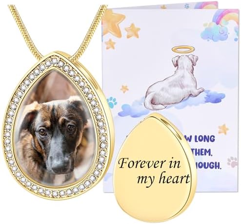 Fanery Sue Pet Ashes Necklace for Dog Cat, Custom Photo & Text
