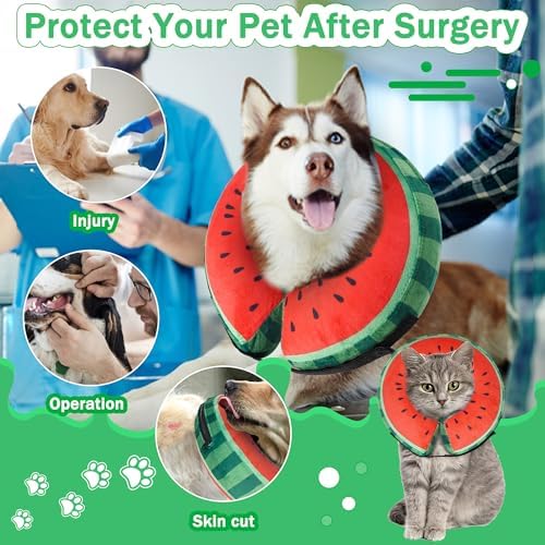 Recovery Donut Collar for Dogs & Cat,Inflatable Dog Collar Alternative After Surgery,Soft Cone for Large Medium Small Pet(Watermelon,Medium)