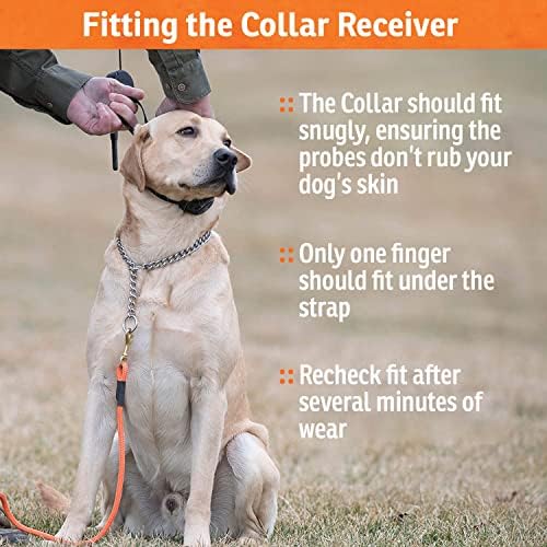 SportDOG FieldTrainer 425X 2 Dog Remote Trainer, 500-Yard Range