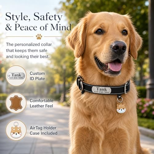 Personalized Genuine Leather Dog Collar with Name Phone Number-Black-XL