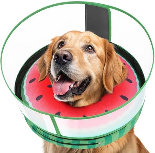 Inflatable Dog Cone with Anti-Licking Clear Shield, Fits Small Dogs