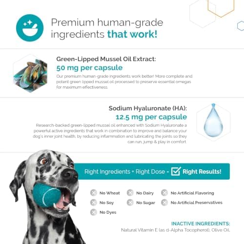for Dogs - Vet-Formulated Joint Supplement with Green Lipped Mussel, Omega 3s & Hyaluronic Acid for Hip, Joint & Mobility Support - 90 Soft Gel Capsules