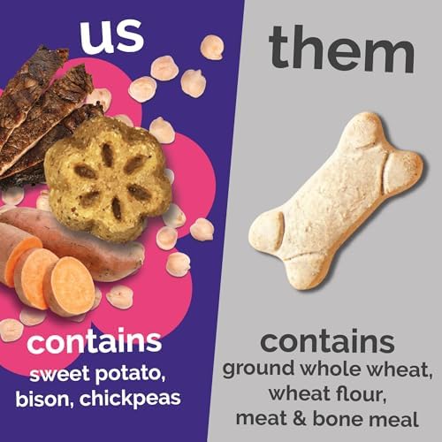 Fruitables Skinny Mini Dog Treats, Training Treats, Grilled Bison, 12oz