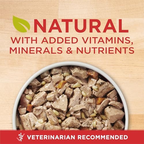 Purina ONE Tender Cuts Heart & Brain Health Wet Dog Food, 13 oz. Can