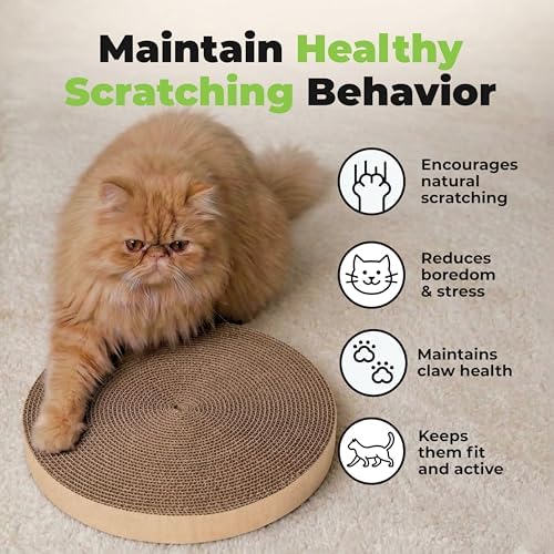 Catify Spin n' Scratch Cat Scratch Pad Refill - Round, 3-Pack