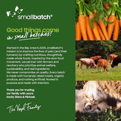 smallbatch Pets Shelf Stable Bone Broth, Organic Venison Recipe with Prebiotics & Adaptogen-Inspired Ingredients, Topper for Dogs - 16 Ounce (Single Pack, Venison) (Pack of 2)