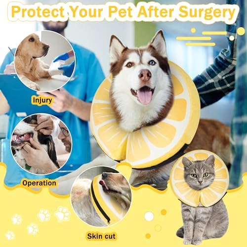 Inflatable Dog Cone Collar for Large Medium Small Dogs, Soft Adjustable Recovery Cone for Dogs Cats,Dog Neck Donut Alternative After Surgery(Lemon,Medium