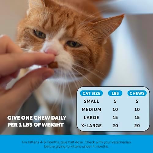 Cat Skin & Coat Supplement Crunchy Creamy Chews - Salmon Oil for Cats Omega 3 Itchy Dry Skin Relief - Feline Shedding Control - Biotin Vitamins for Indoor Cats Shiny Soft Coat (90-Day Supply)