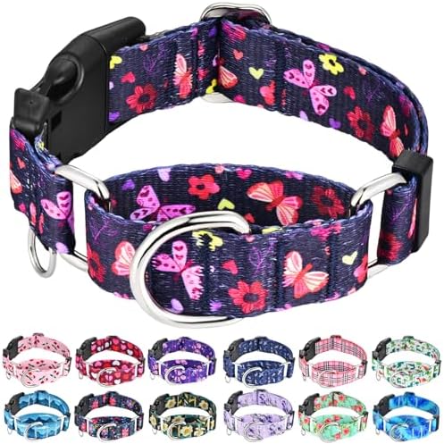 Martingale Collar for Dogs with Buckle No Pull, Purple Butterfly, M