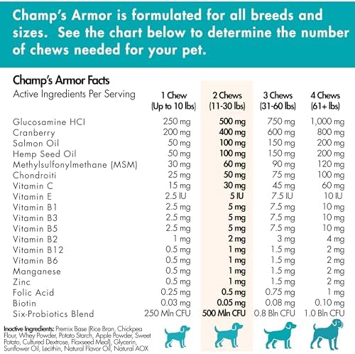 Dog Multivitamin 10-in-1 with Glucosamine - Hip Joint Support, Skin & Coat, Digestive Health, Immune Boost - Salmon Oil, Probiotics, MSM - All Natural Daily Chews for Dogs All Breeds - 120 Count