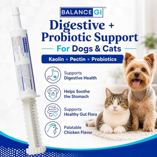 BalanceGI Probiotic Oral Paste for Dogs & Cats, Digestive Support, 30cc