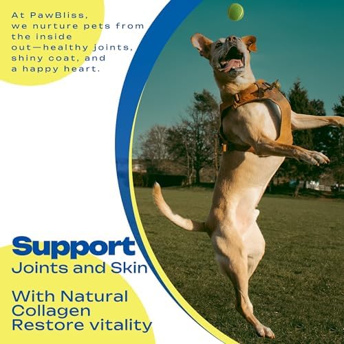 Collagen for Dogs – Hip & Joint Support + Skin & Coat – 9-in-1 Formula with Collagen Peptides, Eggshell Membrane, Hyaluronic Acid, Omega-3, Chondroitin & More – 120 Soft Chews