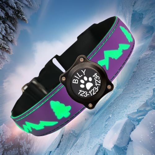 Customlized Name Flashing USB-C led Light up Dog Collar with airtag Holder, Subversive 3D Design Comfortable and Soft Material,Multicolored Lighting (Purple, L(15.7-19.7"))