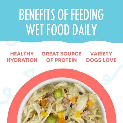 Weruva Meals 'n More Natural Wet Dog Food, Jammin' Salmon Plus Skin & Coat Health, 3.5oz Cup (Pack of 12)