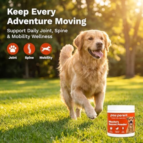 Paw Parent Macho's Secret Powder, Green Lipped Mussel Hip & Joint Powder for Dogs, Spine and Disc Powders, Cardiac Shield Formula with Glucosamine, Msm & Omega-3 for Mobility Support，3Pc