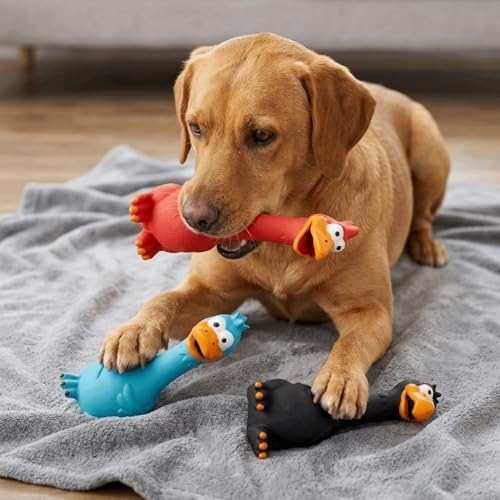 Squeaky Chicken Toy, Latex Rubber Screaming Chicken Toy, Chew Toy, Teething, Stress Relief,for Small Medium Large Dogs, Indoor Outdoor Play(Blue)