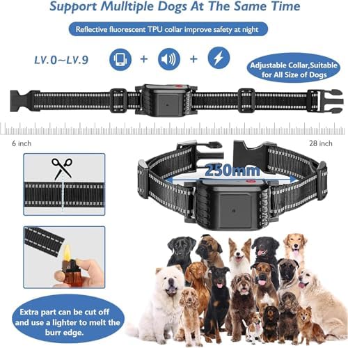 Dog Wireless Fence & Remote Shock Dog Training Collar 2-in-1, Electric Dog Fence, Adjustable Warning Strength & Range Sizes, Rechargeable Pet Boundary Containment System for 1/2/3/4 Dogs,for1dog