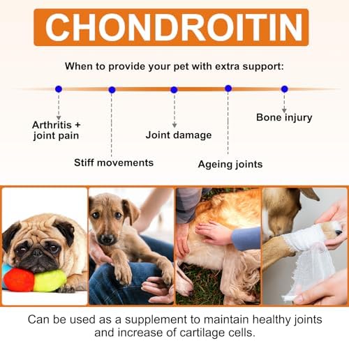 Hip and Joint Supplement for Dogs,Hip & Joint Pain Relief Pills - Large & Small Breed - Hip Joint Chews Canine Joint Health,Mobility & Flexibility Support -Duck Flavor 60 Count