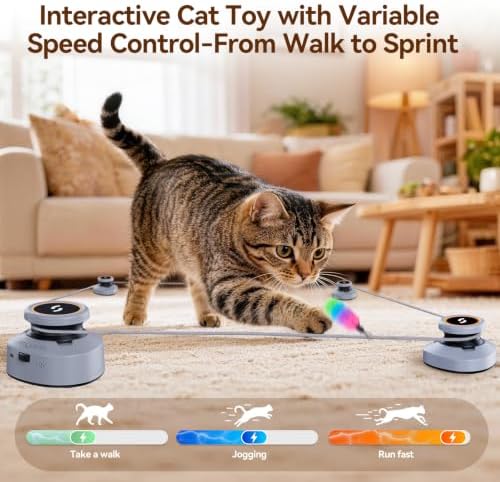 Jripae Interactive Cat Toys for Indoor Cats DIY Multi-Track Chase