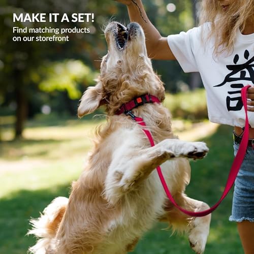 Reflective Dog Collar, Quick-Release Buckle (Pink, 12-16 Inch)
