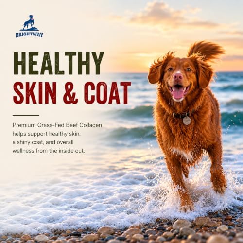 Grass fed Collagen for Dogs - Supports Health Skin & Coat, Hip, Joint Care & Cartilage Support + Skin Health and Mobility, 100% All Natural Collagen