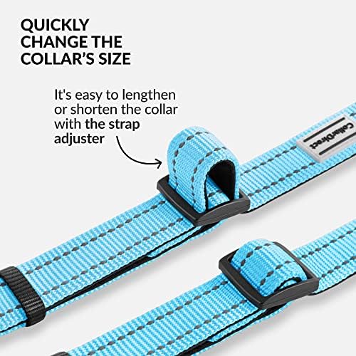 Reflective Dog Collar, Quick-Release Buckle (Light Blue, 18-26 Inch)