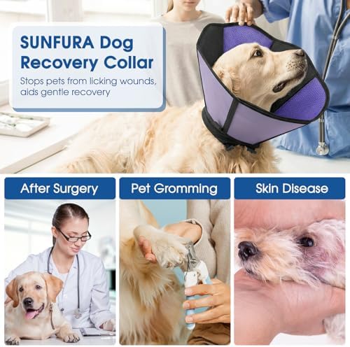 Cone for Dogs, Soft Dog Cone for Medium Large Dogs