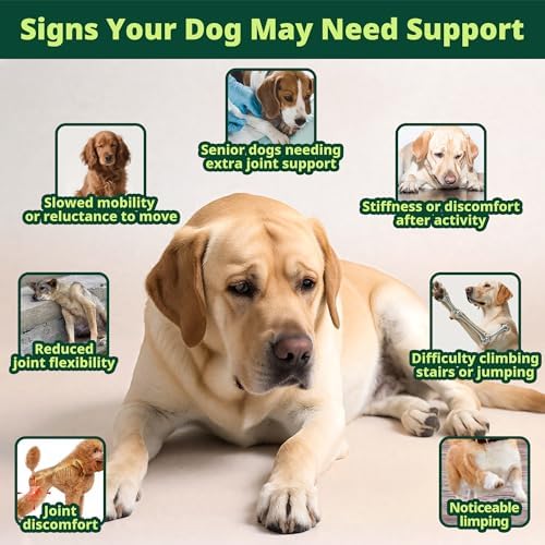 Joint Drops for Dogs, Liquid Glucosamine Supplement, 60 mL