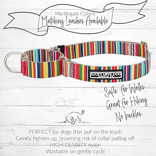 Lucky Love Dog Martingale Collar & Leash Set No Slip Cute – Hippie, Medium