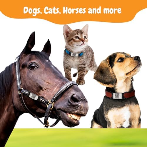 Smart Slide-On QR Code Pet Tag – Silent Dog & Cat ID Tag with Laser Engraving – Stainless Steel & Silicone – No App Needed – Custom Pet Profile – Fits Most Collars (Light Pink, Small)
