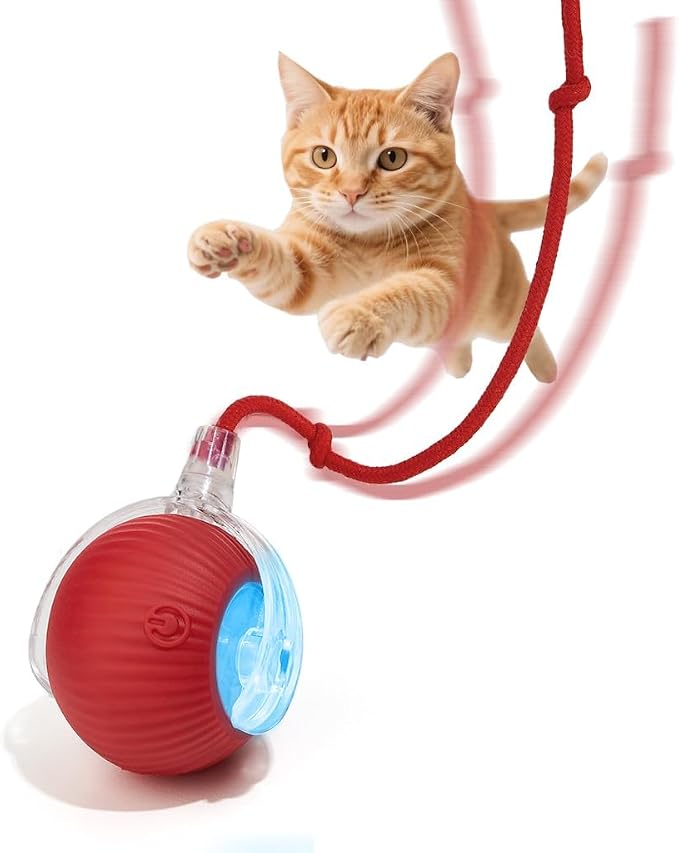 Interactive Dog Cat Toy Ball, Upgraded Rechargable Smart Automatic Rolling Pet Ball with Tail, Fast Moving Toy for Bored Indoor Kitty Puppy