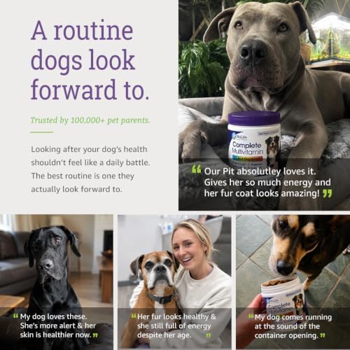 Dog Multivitamin Chewable - 22 in 1 Dog Vitamins and Supplements with Green Lipped Mussel & Omega 3 for Joints, Skin & Coat, Immune System - Senior & Puppy Multivitamin for Dogs - 60 Beef Chews