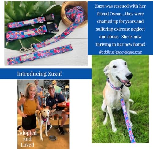 Lucky Love Dog Martingale Collar for Small Dogs No Slip Cute – Zuzu, Small