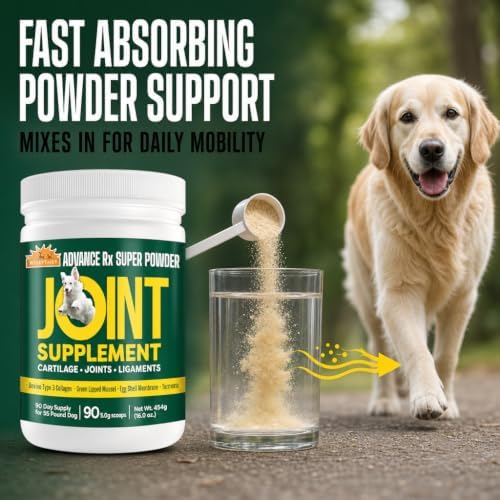 Powerfull Dog Joint Supplement Concentrated Actives Powder NO JUNK FILLERS