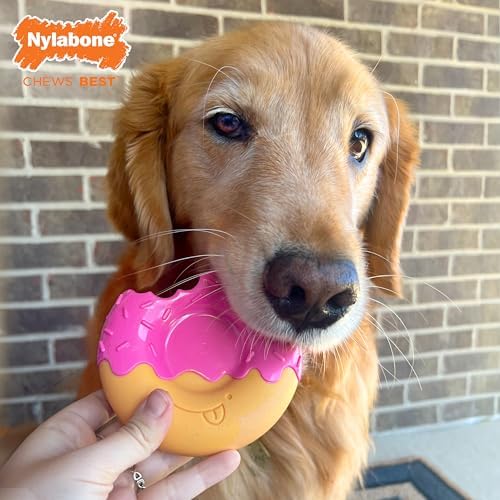 Nylabone Donut Power Chew Toy for Dogs, Dog Toys for Aggressive Chewers, Bacon Glazed Flavor, Large Dogs - Up to 50 lbs, 1 Count