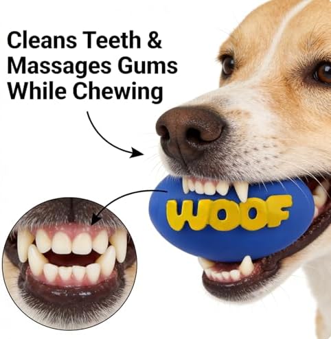 2-Pack Squeaky Rubber Football Dog Toys, Durable Chew & Teething Toy for Small & Medium Dogs, Interactive Fetch & Teeth Cleaning, WOOF Text (Blue, Small)
