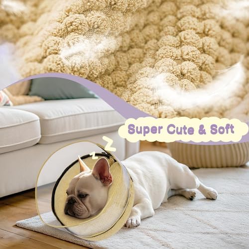 Inflatable Dog Cone with Clear Shield for Added Coverage