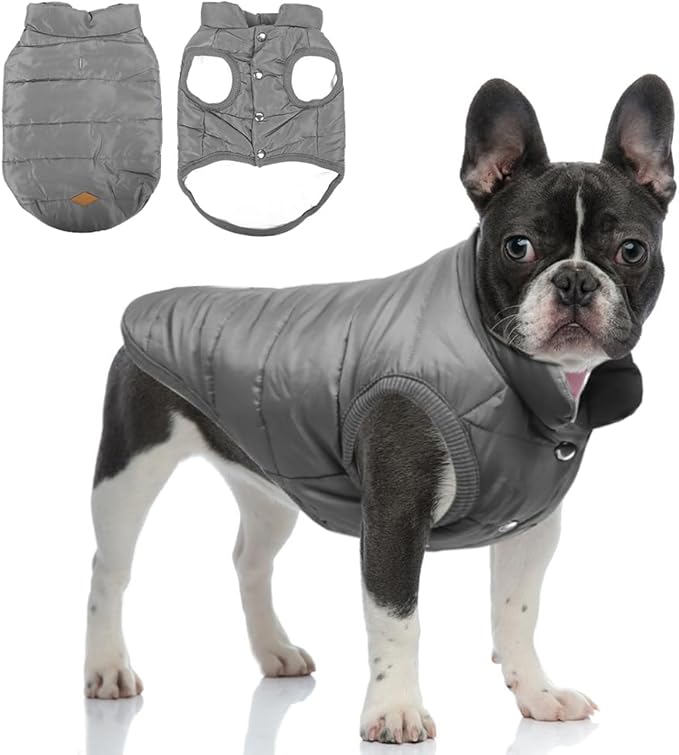 Warm Dog Coat, Windproof Dog Jacket Fleece Pet Winter Coats Solid Color Dogs Clothes Cold Weather Pet Jacket Vest Soft Puppy Apparel for Small Medium Dogs Cat (XXL, Grey)