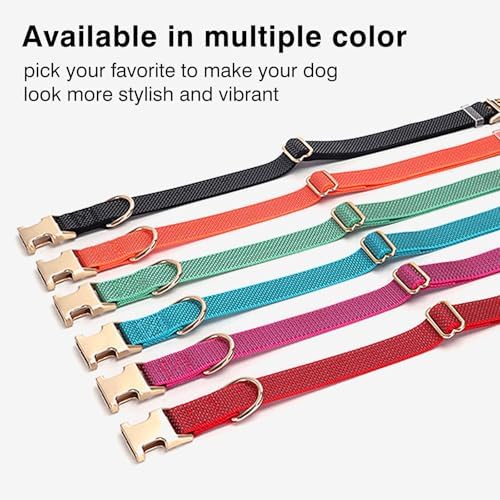 Personalized Reflective Nylon Dog Collar with Name, Rose