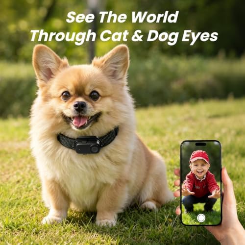 Cat Camera Collar 2K POV, 32GB Card Included, 5+ Hour Recording