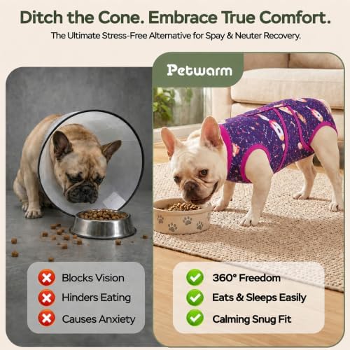 PetWarm Recovery Suit for Dogs, Surgery Bodysuit, Cosmic, Purple Yellow, XL