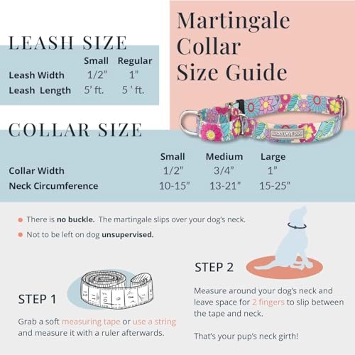 Lucky Love Dog Martingale Collar for Large Dogs No Slip Cute – Nacho, Large