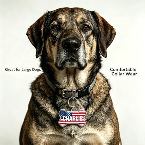 HSIAHOU Custom Pet ID Tags, Personalized Dog Tag Cat Tag(US Flag)