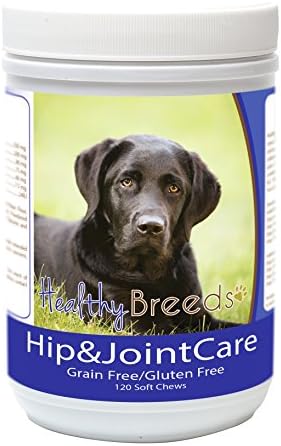 Healthy Breeds Labrador Retriever Hip and Joint Care 120 Count