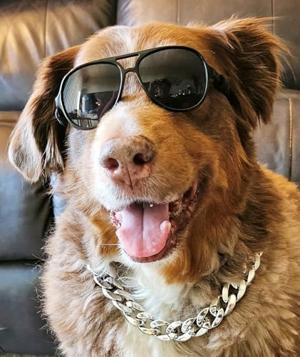 C15 Dog Pet Costume Set Retro Sunglasses Glasses + Chain Adjustable for Medium Breeds Approximately 18-40 lbs Party Prop Cosplay Photoshoot (Aviator Black + Silver Chain)