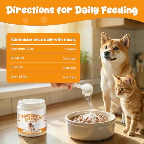 Pancreatic Enzymes for Dogs, EPI Support with Porcine Pancreatin Powder