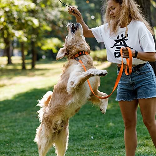 Reflective Dog Collar, Quick-Release Buckle (Orange, 18-26 Inch)